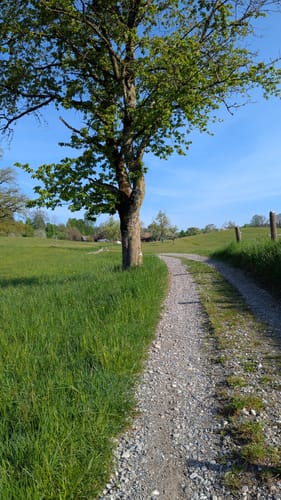 Wanderweg W7: Von Egg übers Milchwegle ins Pfaumoos und Maiertal