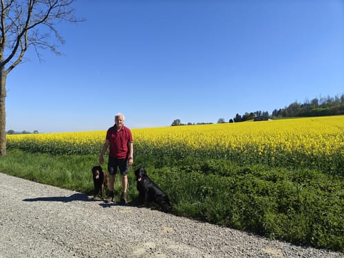 Rund um Scheden