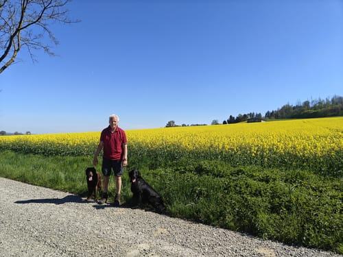 Rund um Scheden