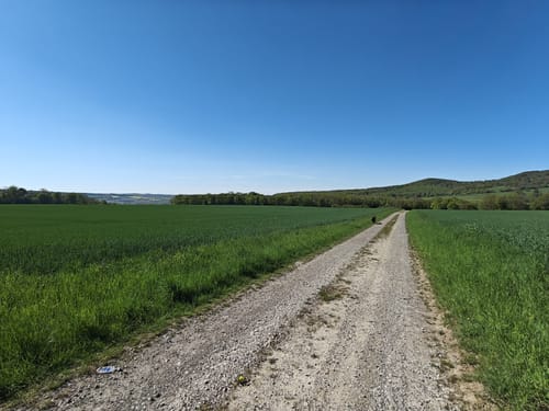 Rund um Scheden