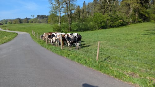 Wanderweg W7: Von Egg übers Milchwegle ins Pfaumoos und Maiertal