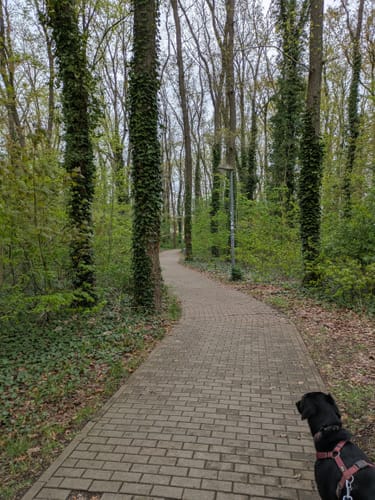 Lug ins Land Havelberg (Auenpfad)