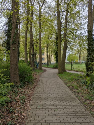 Lug ins Land Havelberg (Auenpfad)