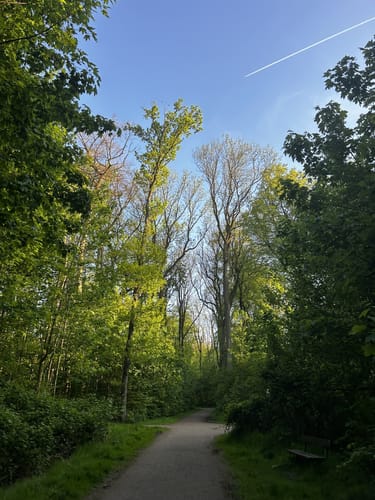 Lindenhorst - Grävingholz
