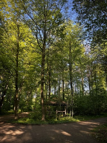 Lindenhorst - Grävingholz