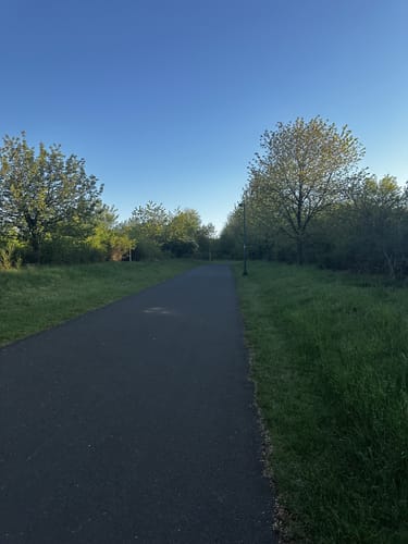 Um den Wendelinuspark