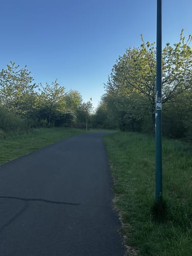 Um den Wendelinuspark