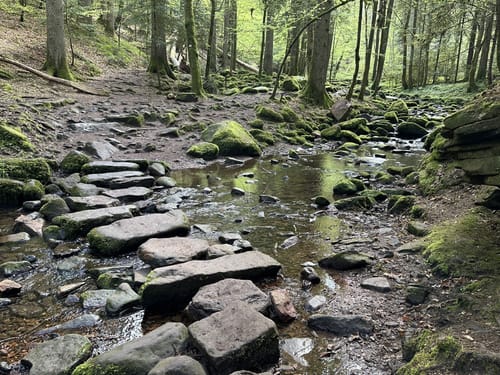 Wildes Monbachtal