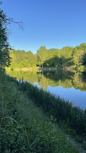 Baggersee und Anglerteich ab Pfungstadt