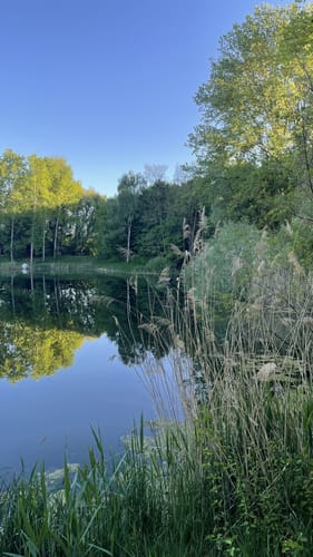 Baggersee und Anglerteich ab Pfungstadt