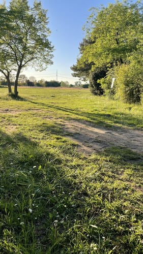 Baggersee und Anglerteich ab Pfungstadt