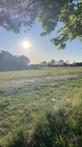 Baggersee und Anglerteich ab Pfungstadt