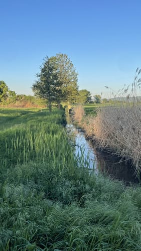 Baggersee und Anglerteich ab Pfungstadt