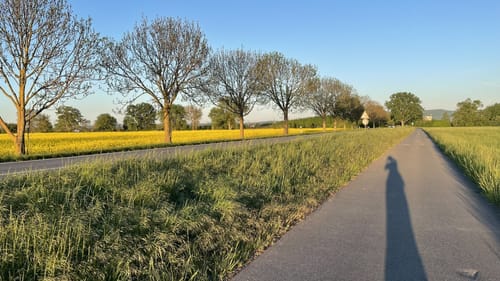 Baggersee und Anglerteich ab Pfungstadt