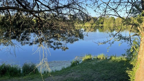 Baggersee und Anglerteich ab Pfungstadt