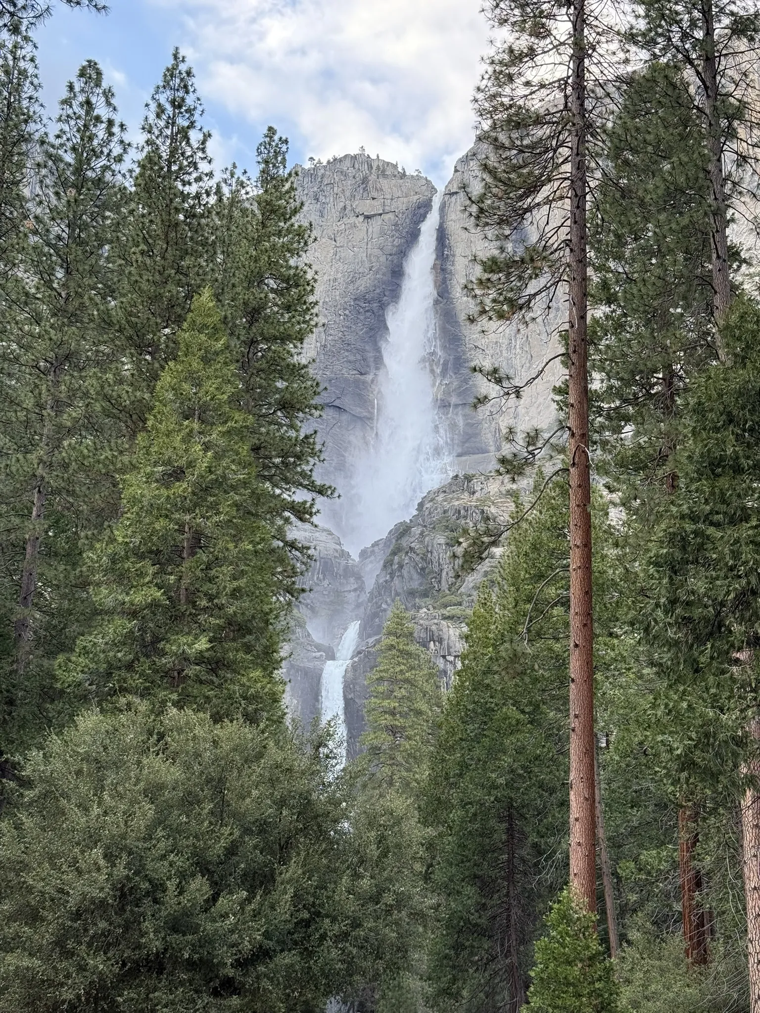 Falls view