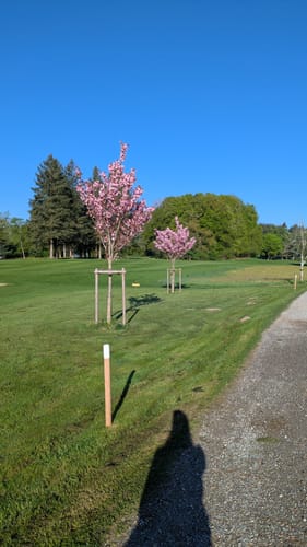 Von Bad Waldsee nach Hopfenweiler