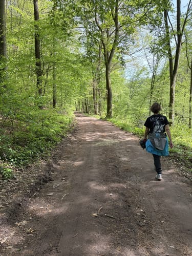 Rundwanderweg Laudenbach 1: Brunnthal-Weg