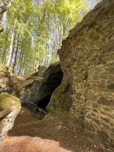 Von Neunkirchen zum Nerother Kopf