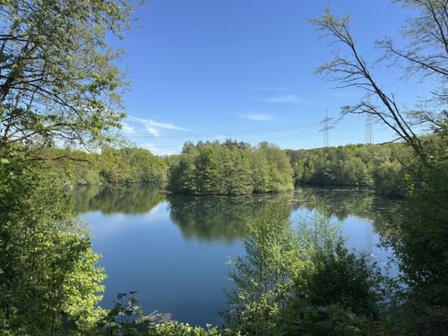 Neuer See - Oberwaldsee - Grüner See