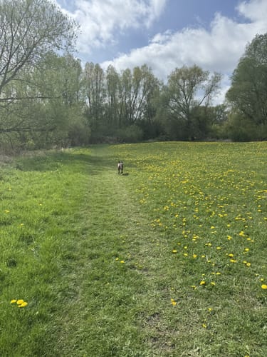 Kitzeberger Wald und Kieler Förde ab Mönkeberg