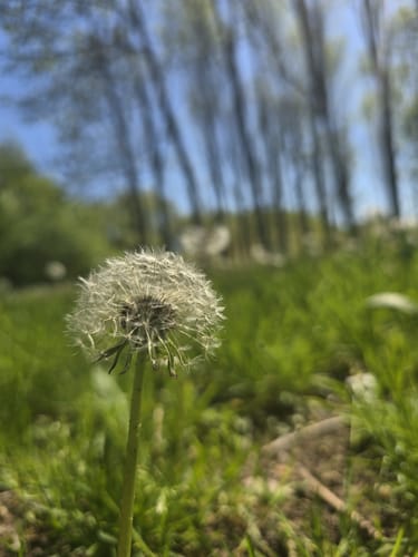 Kulturpark Spazierweg