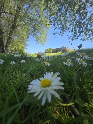 Kulturpark Spazierweg