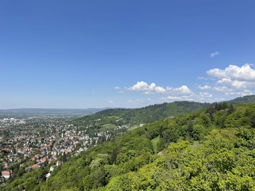 Schlossberg Runde Freiburg