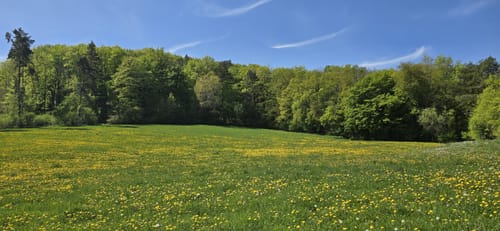 Schloss Grebendorf und Meinhard ab Eschwege