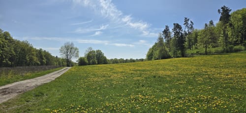 Schloss Grebendorf und Meinhard ab Eschwege