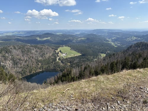Feldbergsteig (Genießerpfad)