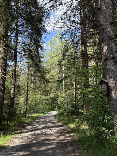 Simssee Nordic Walking - Rot