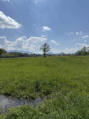 Simssee Nordic Walking - Rot