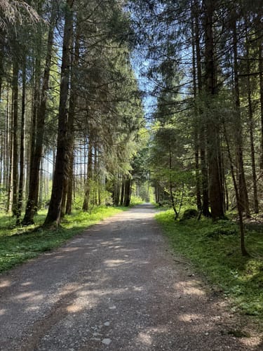 Simssee Nordic Walking - Rot