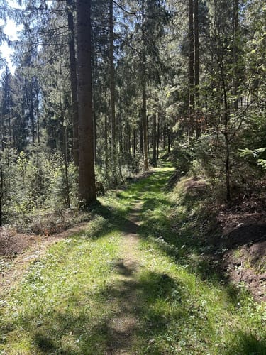 Hüttschenthal - Wildemann