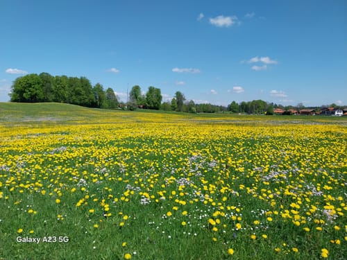 Waakirchen - Sachsenkam - Reutberg