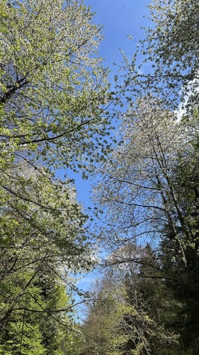 Tour 16 - Unterwegs im Rohrer Wald: rot