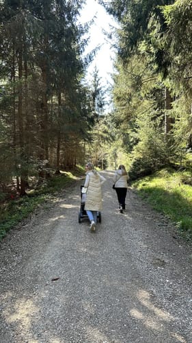 Tour 16 - Unterwegs im Rohrer Wald: rot