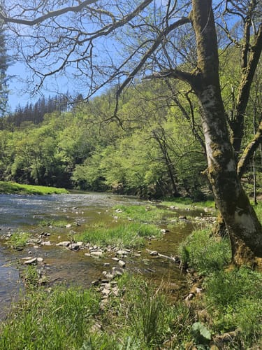 Prümtalweg (NaturWanderPark)