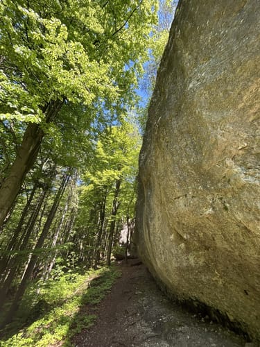 Von Neukirchen zur Osterhohle über den Hartenfels