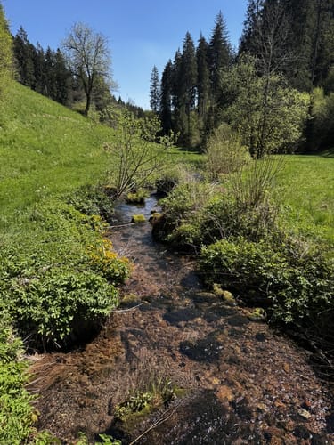 Altensteig - Hornberg