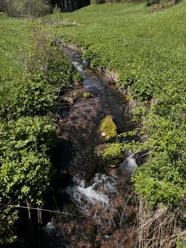 Altensteig - Hornberg