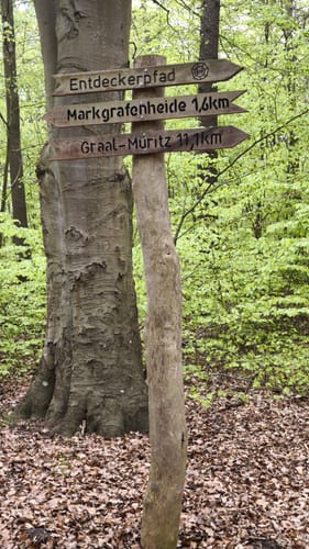 Markgrafenheide - Heiligensee und Hütelmoor