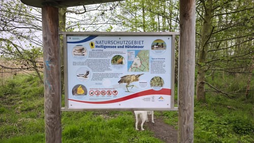 Markgrafenheide - Heiligensee und Hütelmoor