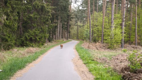 Markgrafenheide - Heiligensee und Hütelmoor