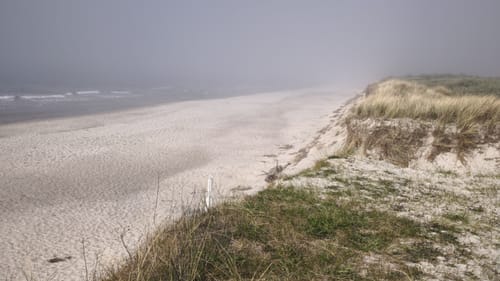 Markgrafenheide - Heiligensee und Hütelmoor