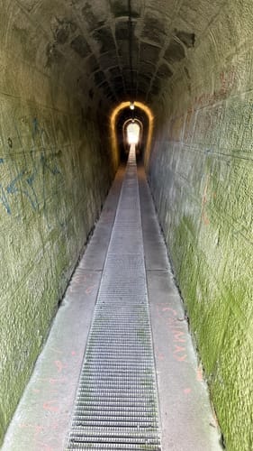 N4 - Naturlehrpfad: Hasengründlein - Multernschlucht