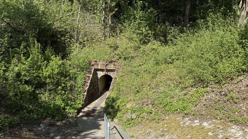 N4 - Naturlehrpfad: Hasengründlein - Multernschlucht
