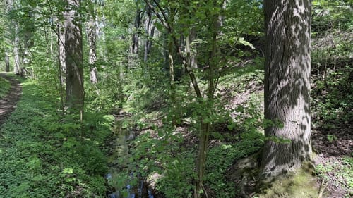 N4 - Naturlehrpfad: Hasengründlein - Multernschlucht
