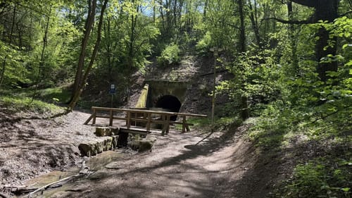 N4 - Naturlehrpfad: Hasengründlein - Multernschlucht
